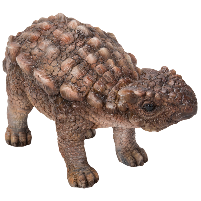 アンキロサウルス | 業者様向け・WooBia仕入れサイト｜アニマル